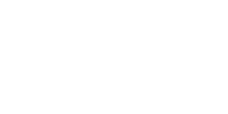 Big Bro Burger